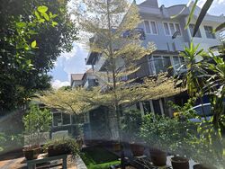Bartley Villas (D19), Semi-Detached #605983251